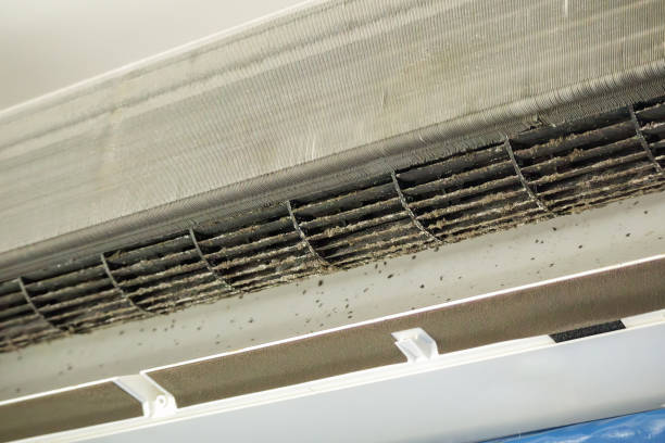 Best Professional Duct Cleaning Services  in Green Knoll, NJ